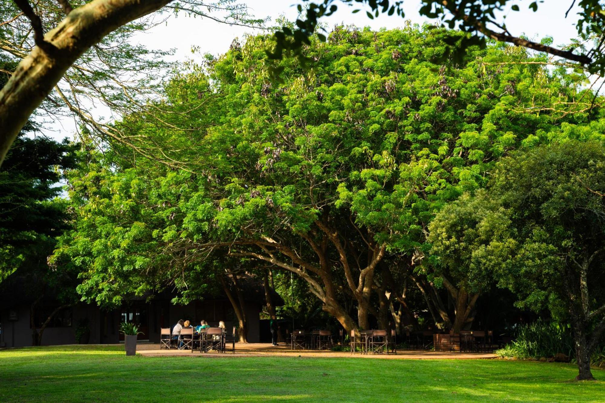 Falaza Game Park And Spa هلوهلوي المظهر الخارجي الصورة